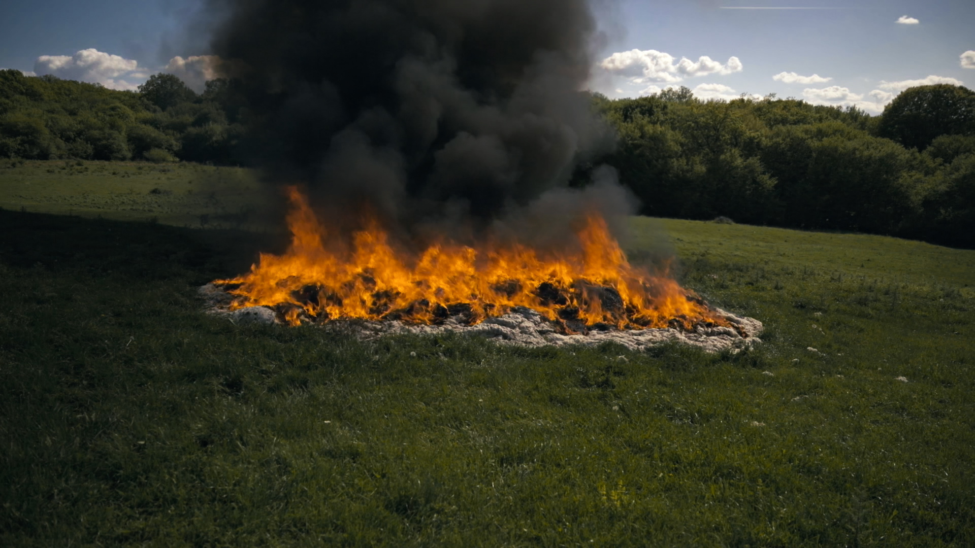 Ein großer Haufen aussortierter Wolle brennt auf einer Wiese.